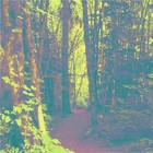 Picture for song 'Autumn Rain' by artist 'Jered Caywood'