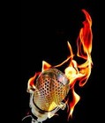 Picture for song 'Phax Diss' by artist 'JericKo'