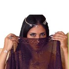 Picture for song 'Arab heavyMaster' by artist 'J H K no aka'
