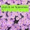 Picture for song 'Eine neue Liebe' by artist 'JJ and'