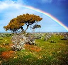 Picture for song 'Follow the Rainbow' by artist 'John Kerslake'