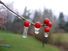 Picture for song 'January Thaw' by artist 'John Robert Whitney'