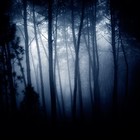 Picture for song 'Cold Nights - Amazing Sad Dark Piano Hip Hop Beat' by artist 'JokerFace Production'