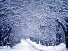 Picture for song 'Goodnight (Carol Of The Snow)' by artist 'J Scott Wright'