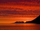 Picture for song 'Red Russian Sunset' by artist 'Juefawn'