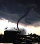 Picture for song 'Forces Of the Nature' by artist 'June Bug 605'