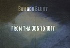 Picture for song 'Bamboo Blunt www.soundclick.com/JustRollin-- PURC' by artist 'Just Rollin'