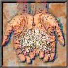 Picture for song 'Stones and Gems' by artist 'Kathy Reynolds'