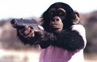 Picture for song 'BIG TIME' by artist 'King J Diesel'