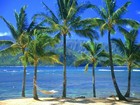 Picture for song 'Caribbean Sun' by artist 'Klaatu (CT)'