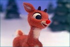 Picture for song 'Rudolph the Rednose Reindeer' by artist 'Knee High'