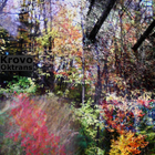 Picture for song 'Ash' by artist 'Krovo'