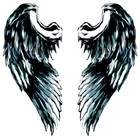 Picture for song '*WOAH* Fly Away (Sampled/R&B)' by artist 'Krushall Kay'