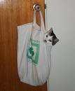 Picture for song 'in mah bag' by artist 'KuStUm BeAtZ'