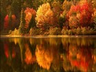 Picture for song 'To where the river flows' by artist 'Larry Ashby'