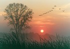 Picture for song 'Prelude: From the Rising' by artist 'Laus Deo'