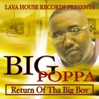 Picture for song 'SHAKE DAT AZZ' by artist 'lava house records'