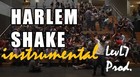 Picture for song 'HARLEM SHAKE instrumental LEVL7 prod' by artist 'LevL7'