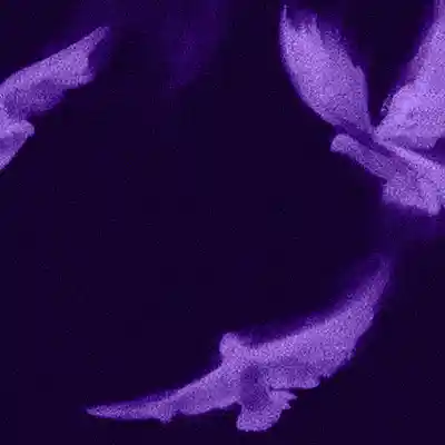 Picture for song 'Bittersweet (J Cole x 21 Savage x Drake)' by artist 'LEXI BANKS'
