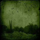 Picture for song 'Walking Backwards' by artist 'Lords Of The Deep Sea'