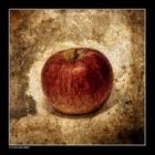 Picture for song 'Eden' by artist 'Lostpoet Productions'