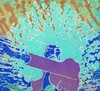 Picture for song 'f l y t e' by artist 'Lush Puppy'
