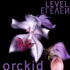 Picture for song 'lvl11_s_m2g_orckid' by artist 'LVL11'