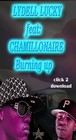 Picture for song 'BURNING UP' by artist 'Lydell Lucky'