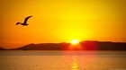 Picture for song 'Gone In The Morning ($20.00 Lease)' by artist 'Lyrickz'