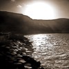 Picture for song 'I `m alone' by artist 'maccanti'