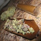 Picture for song 'twisted windy city remix' by artist 'MaDD PpuLL'