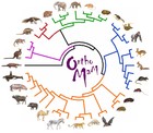 Picture for song 'phylogenetics' by artist 'Mad Plaid'