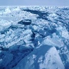 Picture for song 'Unholy' by artist 'Malicious(NL)'