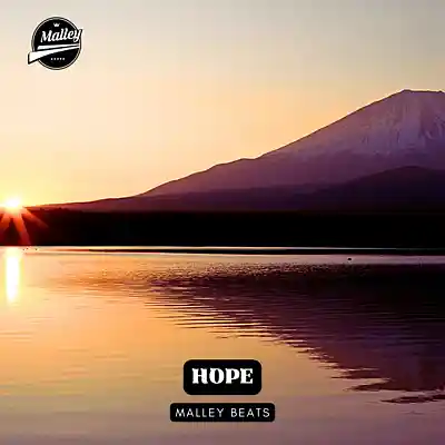 Picture for song 'HOPE [EMOTIONAL GUITAR TYPE BEAT]' by artist 'Malley Beats'