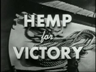 Picture for song 'Hemp 4 Victory (C'mon Legalise it)' by artist 'MAN MACHINE'