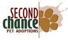 Picture for song 'Second Chance' by artist 'Maria Daines'