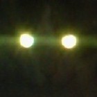 Picture for song 'A buzz from my S.I.M' by artist 'Marss MB'