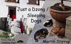 Picture for song 'SD-01 Just a Dzong_Sleeping dogs' by artist 'martin stirrup'