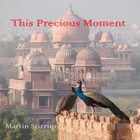 Picture for song 'TPM-06 This precious moment' by artist 'martin stirrup'