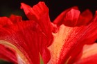 Picture for song 'You Send Me' by artist 'Mary McGrath'