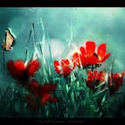 Picture for song 'Remember' by artist 'Shingie.'