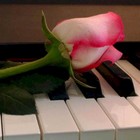 Picture for song 'todai' by artist 'mayo productions'