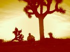 Picture for song 'Valley Of The Shadow' by artist 'MC Reveal'