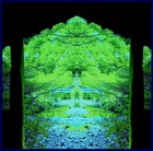 Picture for song 'XyZyx' by artist 'Melodious Rex'