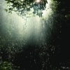 Picture for song 'Evening Rain' by artist 'MG Frisbey'