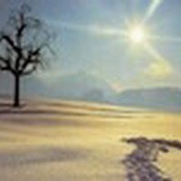 Picture for song 'Fantasy June 2013 (Complete)' by artist 'Michael Palmieri'