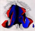 Picture for song 'WildFire' by artist 'Mic West'
