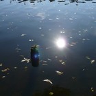 Picture for song 'reflections' by artist 'MikeSch'