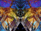 Picture for song 'Fonky Monk' by artist 'Miles Smiles'