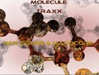 Picture for song 'Sex Drugs & Hardcore' by artist 'Molecule Traxx'